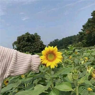 亚马逊AWS前景看好推动股价上涨 花旗将其目标价上调至285美元